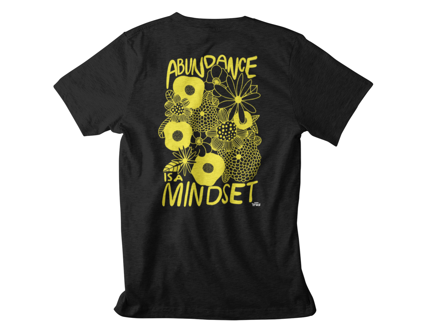 Abundance Mindset